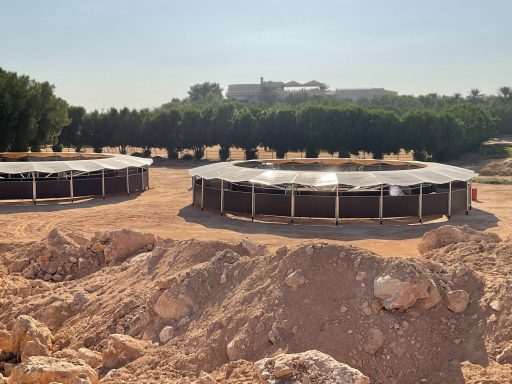 Saudi Arabian 2 Führanlagen Zwei große runde Wasserbehälter in einer trockenen, sandigen Umgebung mit Bäumen im Hintergrund.