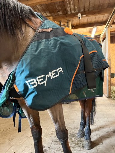 Bemer Horse-Set