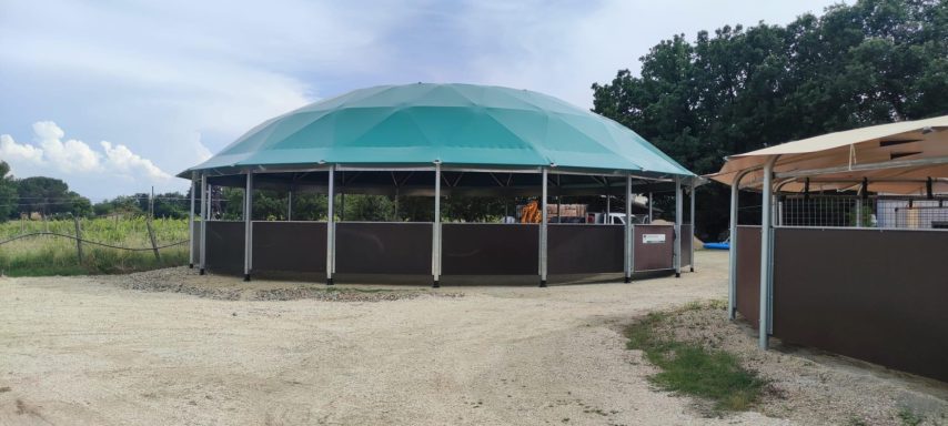 Longierhalle mit grünem Dach Runder, grün bedachter Pavillon umgeben von einem Kiesweg und Bäumen im Hintergrund.