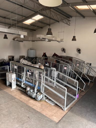 Dubai H.H. Sh. Ahmed bin Humaid Al Nuaimi UAE Ein Raum mit mehreren Metallrampen und Ställen für Tiere.