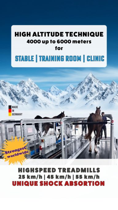 Höhentraining für Pferde