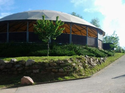 Longierhalle Runder, moderner Bau mit großen Fenstern, umgeben von Bäumen und einer Grasfläche.