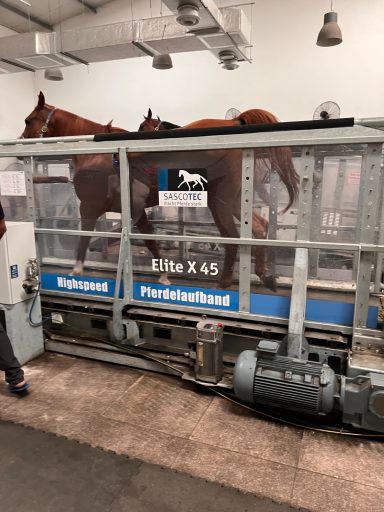 Abu Dhabi 2 Highspeed Laufbänder, Vibrationsplatte Zwei Pferde in einer mobilen Pferdewash-Anlage.